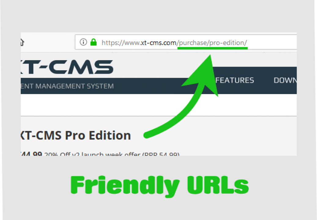 CMS Friendly URL